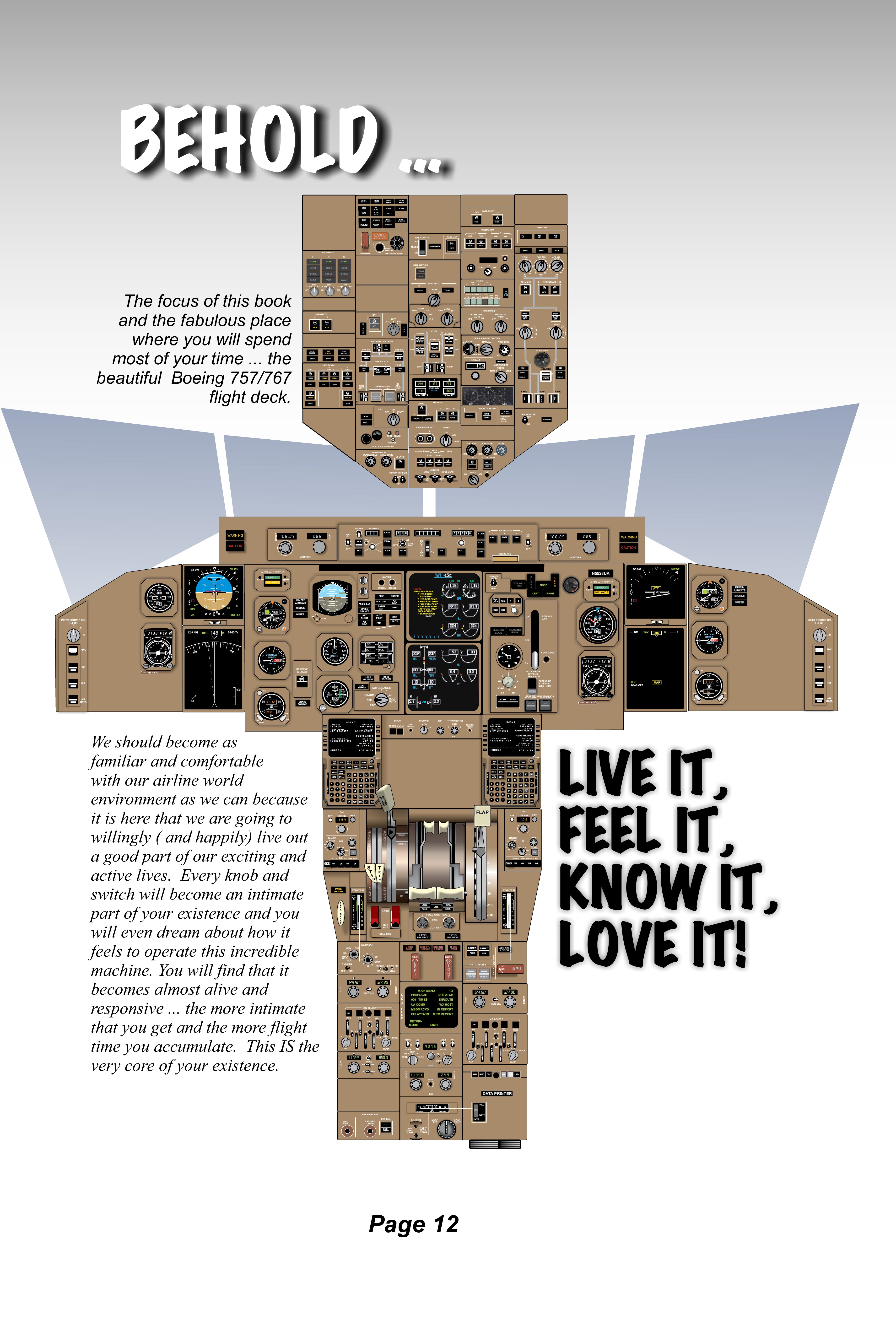 757/767 Pilot Handbook (Color): Simulator and Checkride Procedures (Airline Training Series)